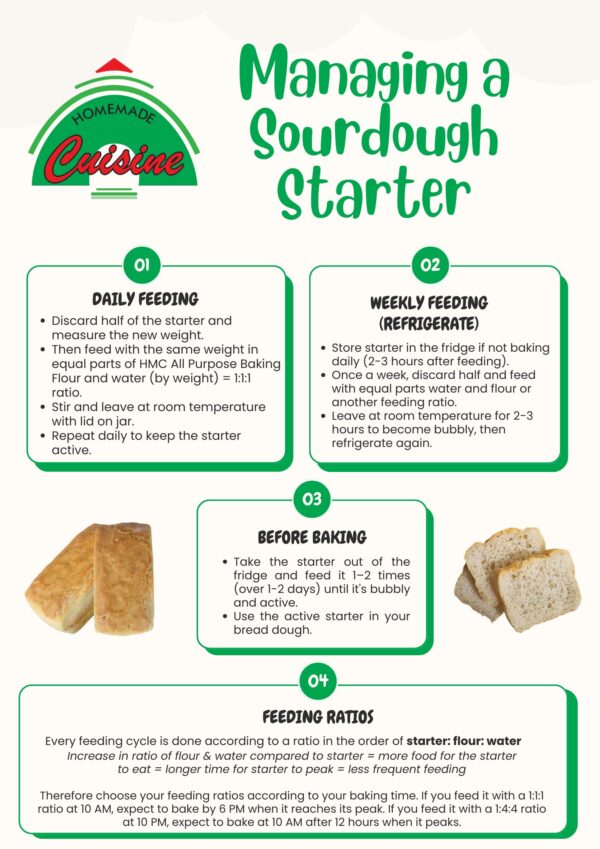 Gluten Free Sourdough Starter Guide