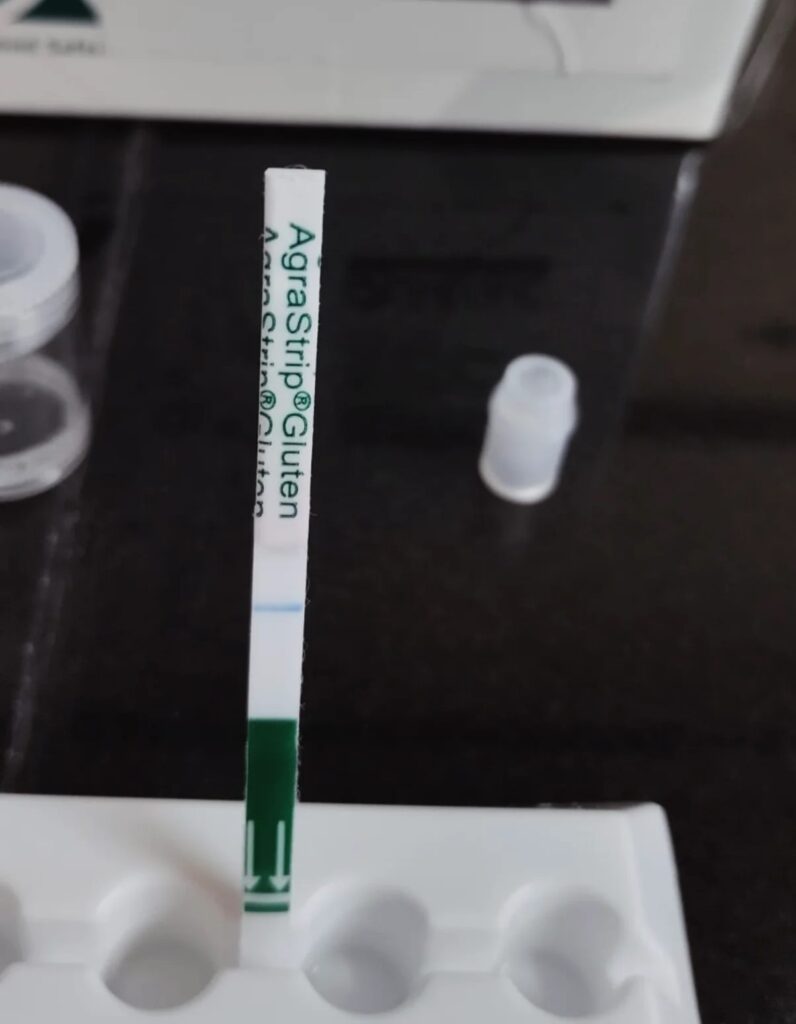 Aloo Samosa Gluten Test