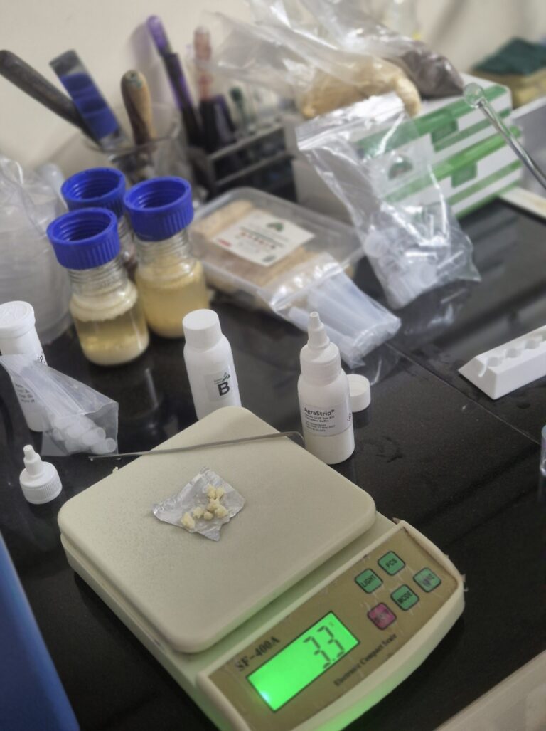 Gluten Analysis Test (3)